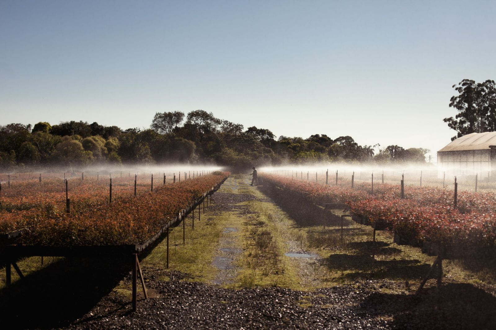 Puerto Valle Hotel de Esteros