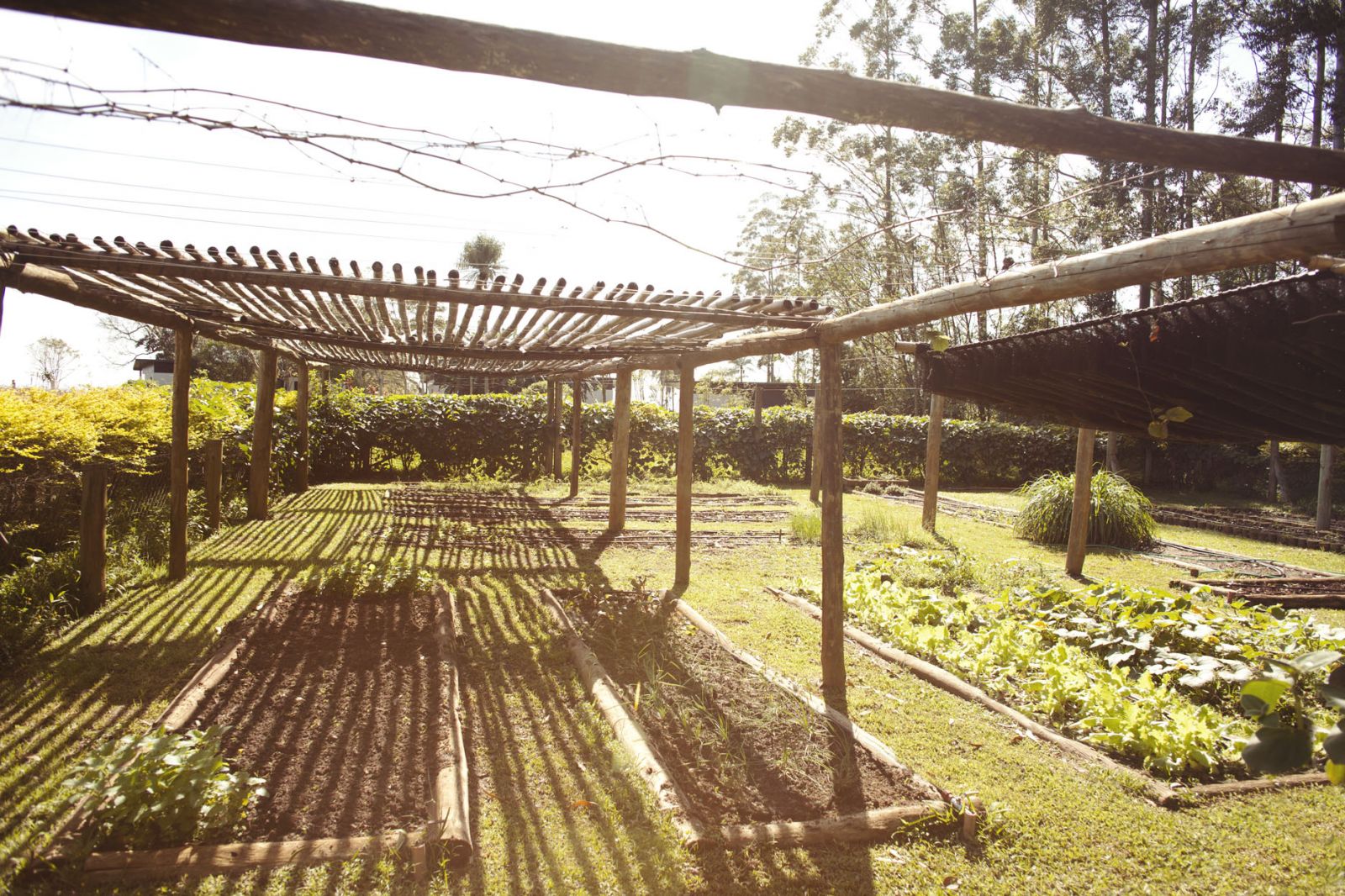 Puerto Valle Hotel de Esteros