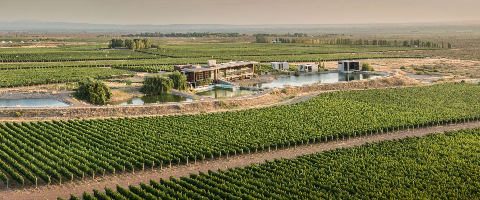 Casa de Uco Vineyards & Wine Resort